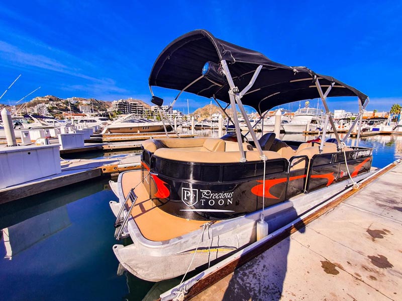 31ft Luxury Pontoons Charter in Cabo San Lucas – Spacious and stylish boat for fishing and leisure trips.