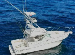 33ft-cabolero-charter-btn 33ft-cabolero-charter-btn