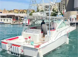 40ft-chinito-bonito-btn001 40ft-chinito-bonito-btn001